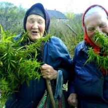 Codzienny Strza� Fotek