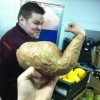 Codzienny Strzał Fotek — 46