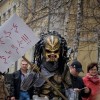 Codzienny Strzał Fotek — 29