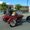 Codzienny Strzał Fotek — 28