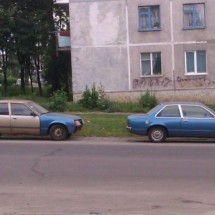 Codzienny Strzał Fotek — 41