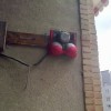 Codzienny Strzał Fotek — 1
