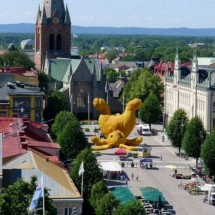 Codzienny Strzał Fotek — 23