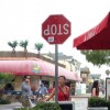 Codzienny Strzał Fotek — 28