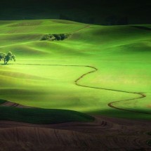 Codzienny Strzał Fotek — 17