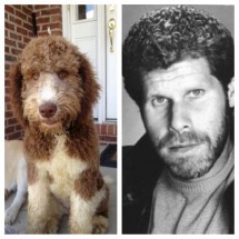 Codzienny Strzał Fotek — 33