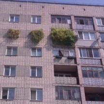 Codzienny Strzał Fotek — 37