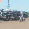 Codzienny Strzał Fotek — 40