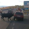 Codzienny Strzał Fotek — 6