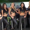 Monster Energy Sexy girls — 2