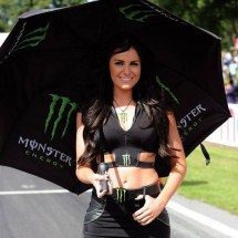 Monster Energy Sexy girls — 36