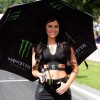 Monster Energy Sexy girls — 36