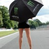 Monster Energy Sexy girls — 38