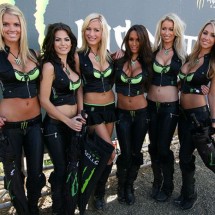 Monster Energy Sexy girls — 39