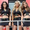 Monster Energy Sexy girls — 3