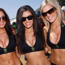 Monster Energy Sexy girls — 41