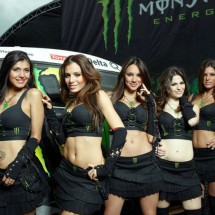 Monster Energy Sexy girls — 5