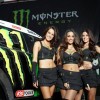 Monster Energy Sexy girls — 6