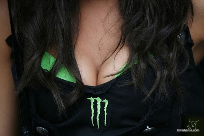 Monster Energy Sexy girls - Pictures nr 12