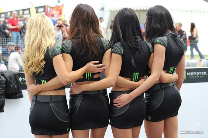 Monster Energy Sexy girls - Pictures nr 23