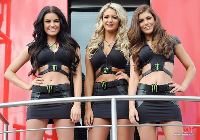 Monster Energy Sexy girls - Pictures nr 3