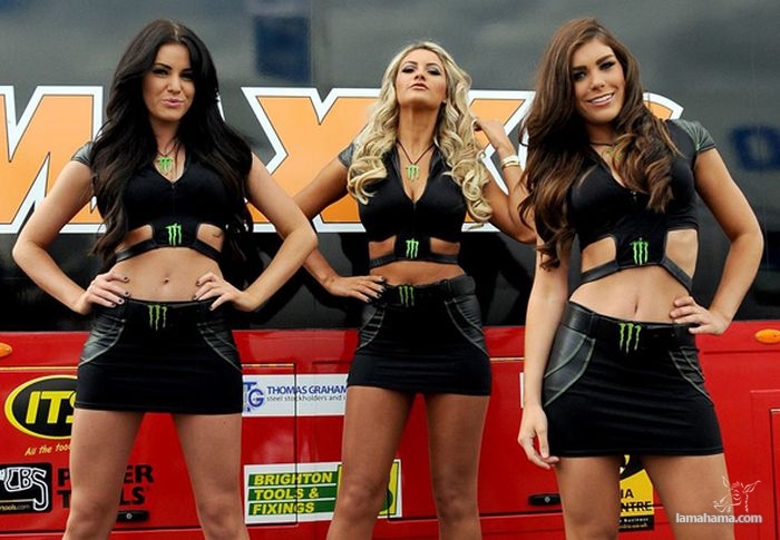 Monster Energy Sexy girls - Pictures nr 4