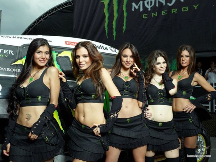 Monster Energy Sexy girls - Pictures nr 5
