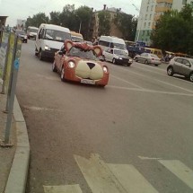 Codzienny Strzał Fotek — 34