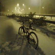 Codzienny Strzał Fotek — 40