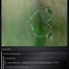 Codzienny Strzał Fotek — 7