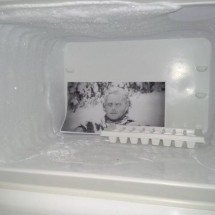 Codzienny Strzał Fotek — 7