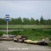Codzienny Strzał Fotek — 17