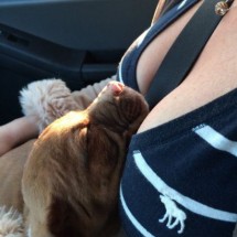 Codzienny Strzał Fotek — 28