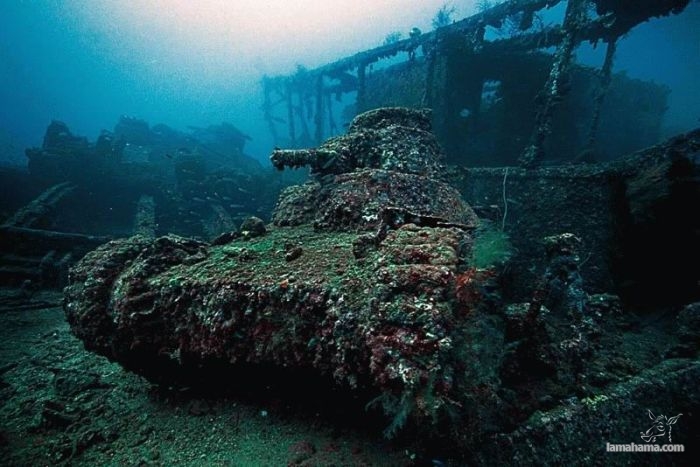 Shipwrecks - Pictures nr 13