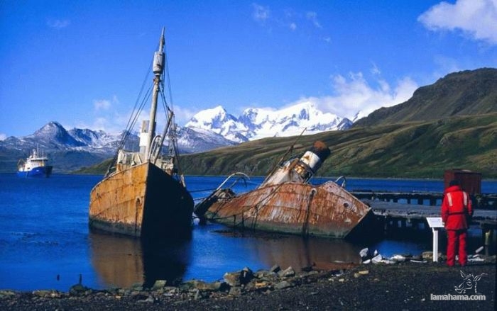 Shipwrecks - Pictures nr 9