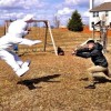 Codzienny Strzał Fotek — 5