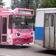 Codzienny Strzał Fotek — 29