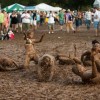 Codzienny Strzał Fotek — 8