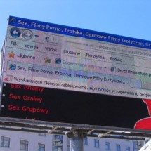 Codzienny Strzał Fotek — 15