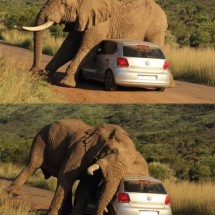 Codzienny Strzał Fotek — 26