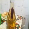 Codzienny Strzał Fotek — 17