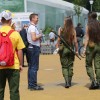 Codzienny Strzał Fotek — 19