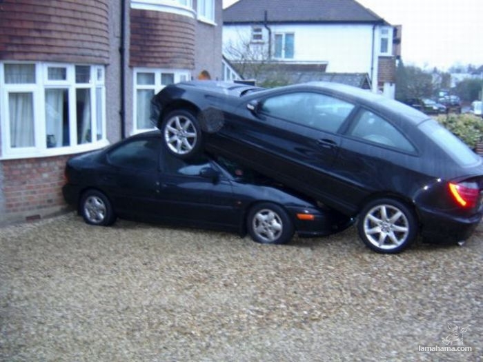 Masters of parking - Pictures nr 30