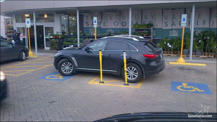 Masters of parking - Pictures nr 33