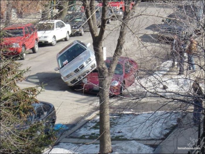 Masters of parking - Pictures nr 34