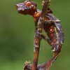 Codzienny Strzał Fotek — 24