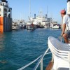 Marine transport of giant objects — 8