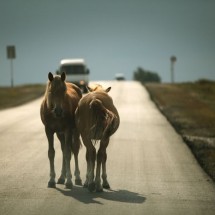 Daily Photo Shoot — 7