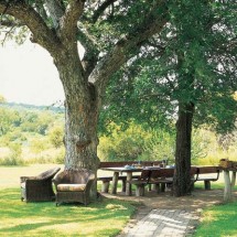 Wonderful holiday in Africa with Safari — 11