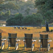 Wonderful holiday in Africa with Safari — 12